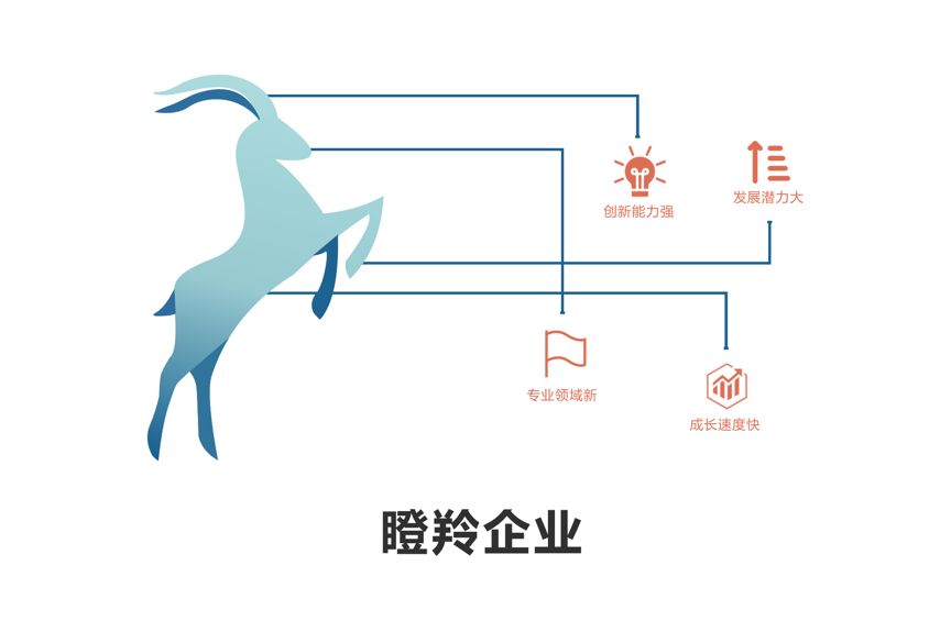 ​关于认定广州市黄埔区 广州开发区 2019年度瞪羚企业和瞪羚培育 企业的通知