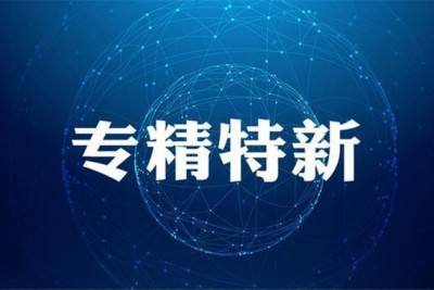 广东省关于组织开展2020年专精特新中小企业遴选工作的通知