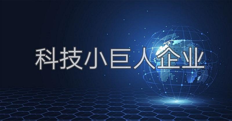 科技小巨人是什么？广州市企业科技小巨人怎么认证申请