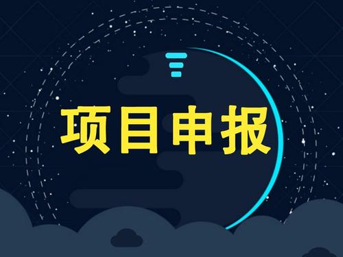 企业可以独自申请项目补贴吗？成功率怎么样？