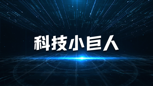 广东省工业和信息化厅关于做好第四批专精特新“小巨人”企业推荐和第一批专精特新“小巨人”企业复核工作的通知